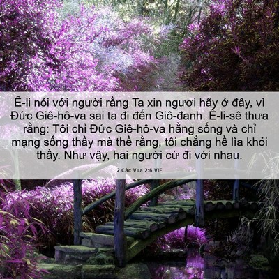 Picture 06 - 2 Các Vua 2:6 VIE - Ê-li nói với người rằng Ta xin ngươi - Bible Verse Picture