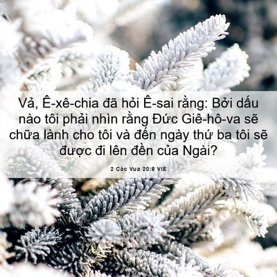Picture 06 - 2 Các Vua 20:8 VIE - Vả, Ê-xê-chia đã hỏi Ê-sai rằng: Bởi - Bible Verse Picture
