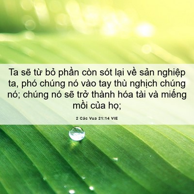 Picture 06 - 2 Các Vua 21:14 VIE - Ta sẽ từ bỏ phần còn sót lại về - Bible Verse Picture
