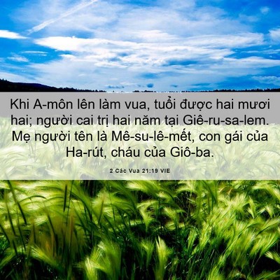 Picture 06 - 2 Các Vua 21:19 VIE - Khi A-môn lên làm vua, tuổi được hai - Bible Verse Picture