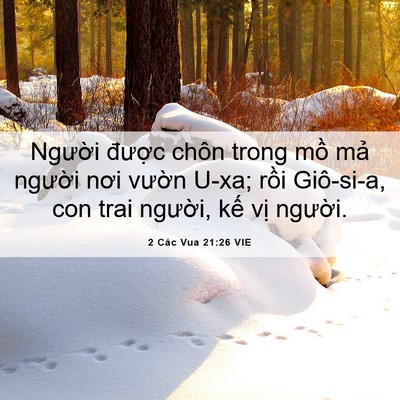Picture 06 - 2 Các Vua 21:26 VIE - Người được chôn trong mồ mả người - Bible Verse Picture