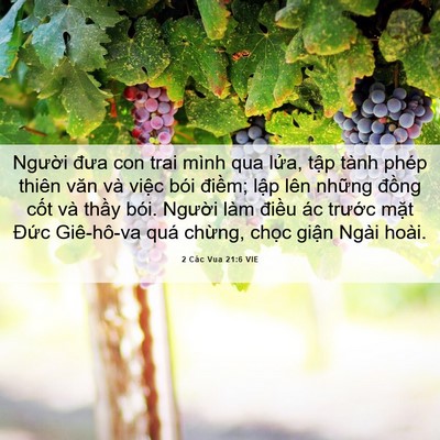 Picture 06 - 2 Các Vua 21:6 VIE - Người đưa con trai mình qua lửa, tập - Bible Verse Picture