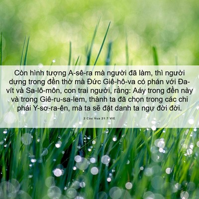 Picture 06 - 2 Các Vua 21:7 VIE - Còn hình tượng A-sê-ra mà người đã - Bible Verse Picture