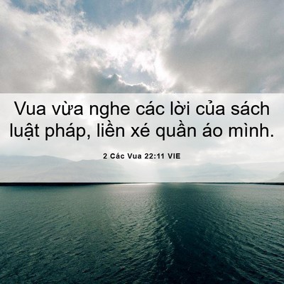 Picture 06 - 2 Các Vua 22:11 VIE - Vua vừa nghe các lời của sách luật - Bible Verse Picture