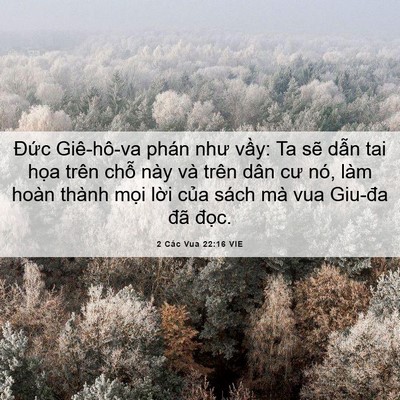 Picture 06 - 2 Các Vua 22:16 VIE - Đức Giê-hô-va phán như vầy: Ta sẽ - Bible Verse Picture