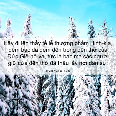 Picture 06 - 2 Các Vua 22:4 VIE - Hãy đi lên thầy tế lễ thượng phẩm - Bible Verse Picture