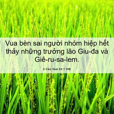 Picture 06 - 2 Các Vua 23:1 VIE - Vua bèn sai người nhóm hiệp hết thảy - Bible Verse Picture