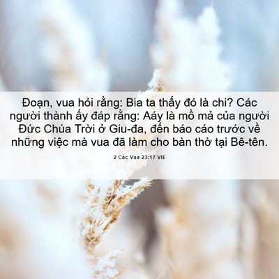 Picture 06 - 2 Các Vua 23:17 VIE - Đoạn, vua hỏi rằng: Bia ta thấy đó là - Bible Verse Picture