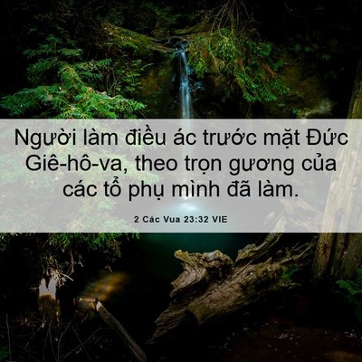 Picture 06 - 2 Các Vua 23:32 VIE - Người làm điều ác trước mặt Đức - Bible Verse Picture