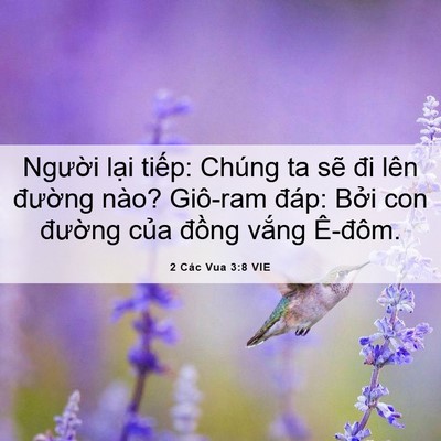 Picture 06 - 2 Các Vua 3:8 VIE - Người lại tiếp: Chúng ta sẽ đi lên - Bible Verse Picture