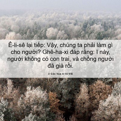 Picture 06 - 2 Các Vua 4:14 VIE - Ê-li-sê lại tiếp: Vậy, chúng ta phải - Bible Verse Picture