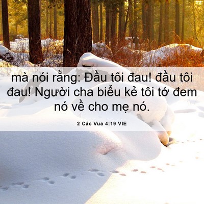 Picture 06 - 2 Các Vua 4:19 VIE - mà nói rằng: Đầu tôi đau! đầu tôi - Bible Verse Picture