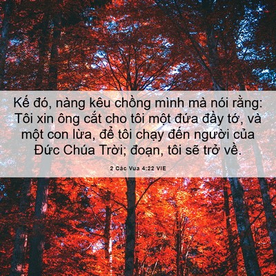 Picture 06 - 2 Các Vua 4:22 VIE - Kế đó, nàng kêu chồng mình mà nói - Bible Verse Picture
