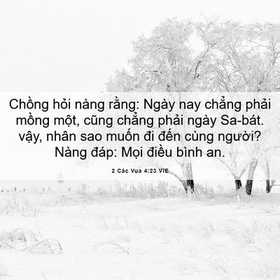 Picture 06 - 2 Các Vua 4:23 VIE - Chồng hỏi nàng rằng: Ngày nay chẳng - Bible Verse Picture