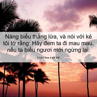 Picture 06 - 2 Các Vua 4:24 VIE - Nàng biểu thắng lừa, và nói với kẻ - Bible Verse Picture