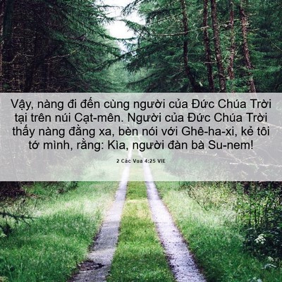 Picture 06 - 2 Các Vua 4:25 VIE - Vậy, nàng đi đến cùng người của - Bible Verse Picture