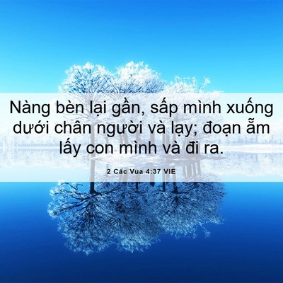 Picture 06 - 2 Các Vua 4:37 VIE - Nàng bèn lại gần, sấp mình xuống - Bible Verse Picture