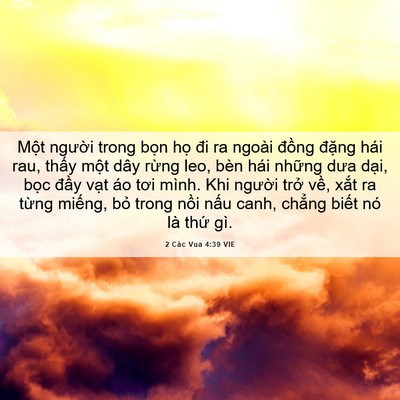 Picture 06 - 2 Các Vua 4:39 VIE - Một người trong bọn họ đi ra ngoài - Bible Verse Picture