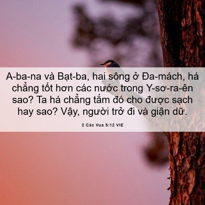 Picture 06 - 2 Các Vua 5:12 VIE - A-ba-na và Bạt-ba, hai sông ở Đa-mách, - Bible Verse Picture