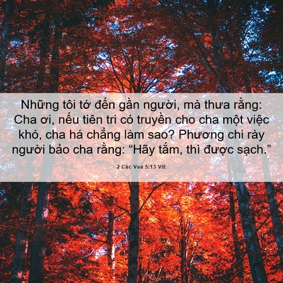 Picture 06 - 2 Các Vua 5:13 VIE - Những tôi tớ đến gần người, mà - Bible Verse Picture