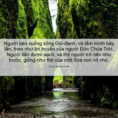 Picture 06 - 2 Các Vua 5:14 VIE - Người bèn xuống sông Giô-đanh, và tắm - Bible Verse Picture