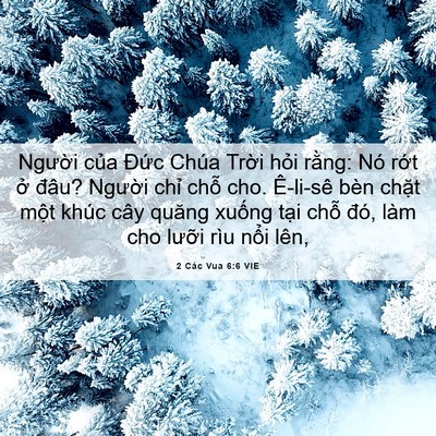 Picture 06 - 2 Các Vua 6:6 VIE - Người của Đức Chúa Trời hỏi rằng: - Bible Verse Picture