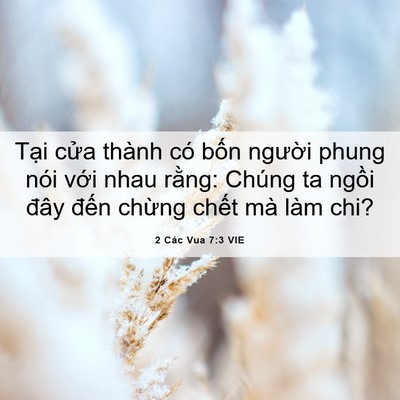 Picture 06 - 2 Các Vua 7:3 VIE - Tại cửa thành có bốn người phung nói - Bible Verse Picture