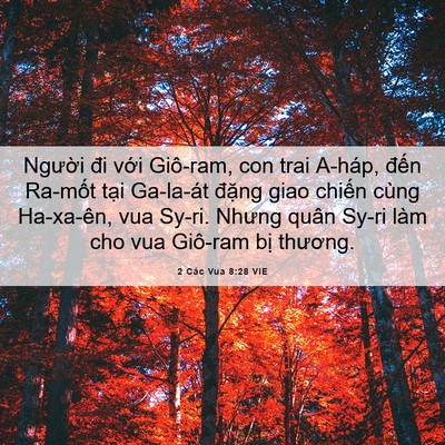 Picture 06 - 2 Các Vua 8:28 VIE - Người đi với Giô-ram, con trai A-háp, - Bible Verse Picture