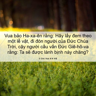 Picture 06 - 2 Các Vua 8:8 VIE - Vua bảo Ha-xa-ên rằng: Hãy lấy đem theo - Bible Verse Picture