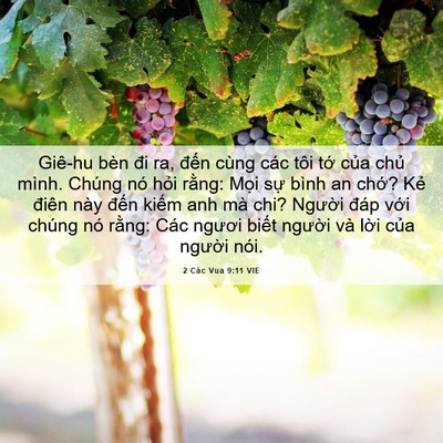 Picture 06 - 2 Các Vua 9:11 VIE - Giê-hu bèn đi ra, đến cùng các tôi tớ - Bible Verse Picture