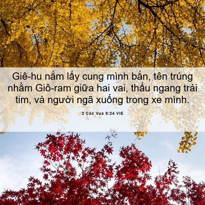Picture 06 - 2 Các Vua 9:24 VIE - Giê-hu nắm lấy cung mình bắn, tên trúng - Bible Verse Picture