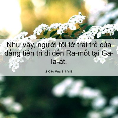 Picture 06 - 2 Các Vua 9:4 VIE - Như vậy, người tôi tớ trai trẻ của - Bible Verse Picture