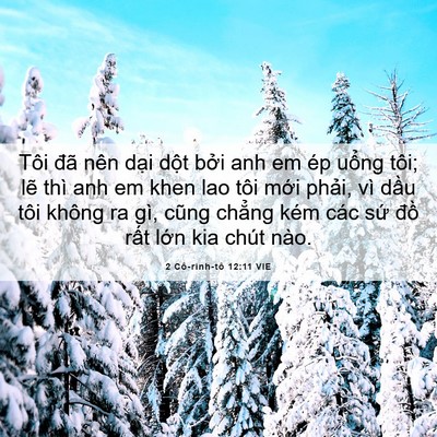 Picture 06 - 2 Cô-rinh-tô 12:11 VIE - Tôi đã nên dại dột bởi anh em ép - Bible Verse Picture