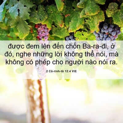 Picture 06 - 2 Cô-rinh-tô 12:4 VIE - được đem lên đến chốn Ba-ra-đi, ở - Bible Verse Picture