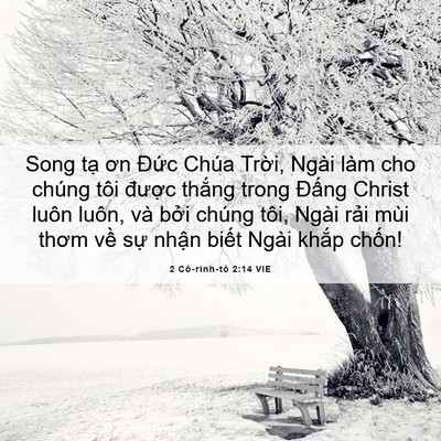 Picture 06 - 2 Cô-rinh-tô 2:14 VIE - Song tạ ơn Đức Chúa Trời, Ngài làm cho - Bible Verse Picture