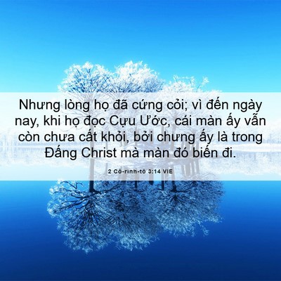 Picture 06 - 2 Cô-rinh-tô 3:14 VIE - Nhưng lòng họ đã cứng cỏi; vì đến - Bible Verse Picture
