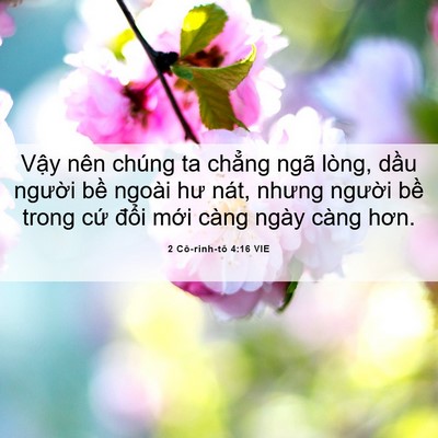 Picture 06 - 2 Cô-rinh-tô 4:16 VIE - Vậy nên chúng ta chẳng ngã lòng, dầu - Bible Verse Picture