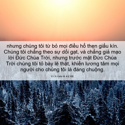 Picture 06 - 2 Cô-rinh-tô 4:2 VIE - nhưng chúng tôi từ bỏ mọi điều hổ - Bible Verse Picture