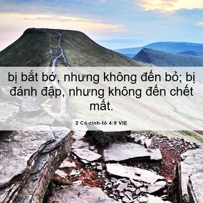 Picture 06 - 2 Cô-rinh-tô 4:9 VIE - bị bắt bớ, nhưng không đến bỏ; bị - Bible Verse Picture