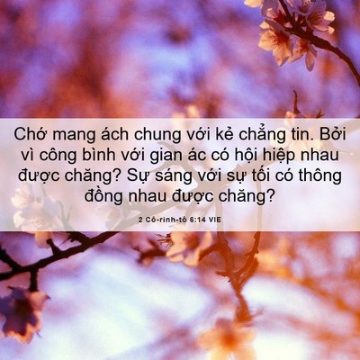 Picture 06 - 2 Cô-rinh-tô 6:14 VIE - Chớ mang ách chung với kẻ chẳng tin. - Bible Verse Picture