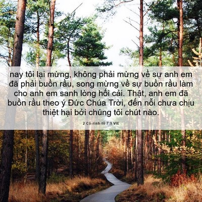 Picture 06 - 2 Cô-rinh-tô 7:9 VIE - nay tôi lại mừng, không phải mừng về - Bible Verse Picture