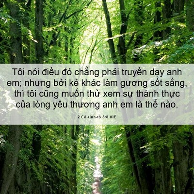 Picture 06 - 2 Cô-rinh-tô 8:8 VIE - Tôi nói điều đó chẳng phải truyền - Bible Verse Picture