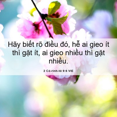 Picture 06 - 2 Cô-rinh-tô 9:6 VIE - Hãy biết rõ điều đó, hễ ai gieo ít - Bible Verse Picture