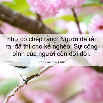 Picture 06 - 2 Cô-rinh-tô 9:9 VIE - như có chép rằng: Người đã rải ra, - Bible Verse Picture