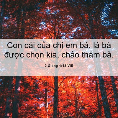 Picture 06 - 2 Giăng 1:13 VIE - Con cái của chị em bà, là bà được - Bible Verse Picture