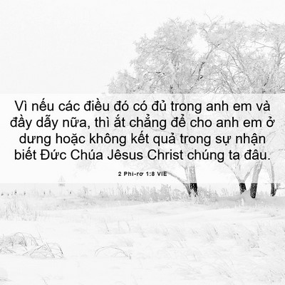 Picture 06 - 2 Phi-rơ 1:8 VIE - Vì nếu các điều đó có đủ trong anh - Bible Verse Picture