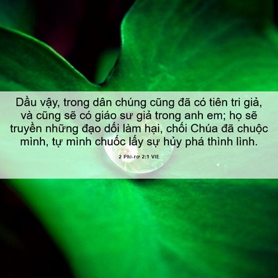 Picture 06 - 2 Phi-rơ 2:1 VIE - Dầu vậy, trong dân chúng cũng đã có - Bible Verse Picture