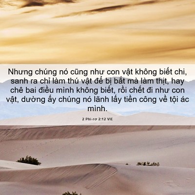 Picture 06 - 2 Phi-rơ 2:12 VIE - Nhưng chúng nó cũng như con vật không - Bible Verse Picture