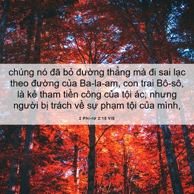 Picture 06 - 2 Phi-rơ 2:15 VIE - chúng nó đã bỏ đường thẳng mà đi - Bible Verse Picture