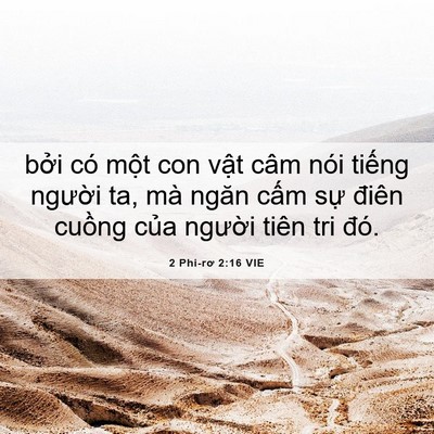Picture 06 - 2 Phi-rơ 2:16 VIE - bởi có một con vật câm nói tiếng - Bible Verse Picture